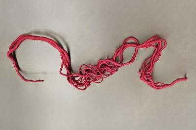 Aude Franjou Pink vine I