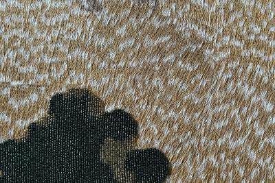 Aur lie Mathigot Voyage r jouissant