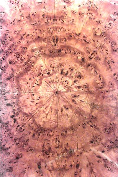 Austrian Biedermeier Burl Maple Sunburst Dining Table