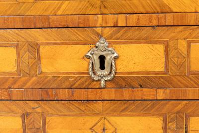 Austrian Tulipwood Miniature Chest Of Drawers