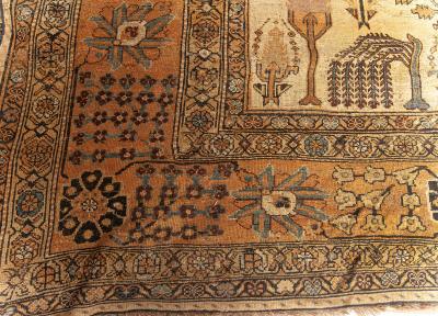 Authentic Persian Bakhtiari Handmade Wool Rug