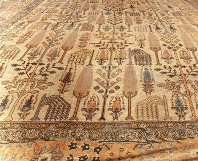 Authentic Persian Bakhtiari Handmade Wool Rug