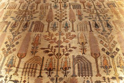 Authentic Persian Bakhtiari Handmade Wool Rug