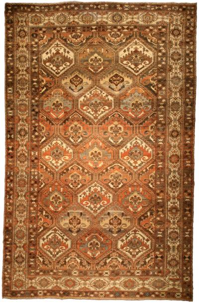 Authentic Persian Bakhtiari Handmade Wool Rug