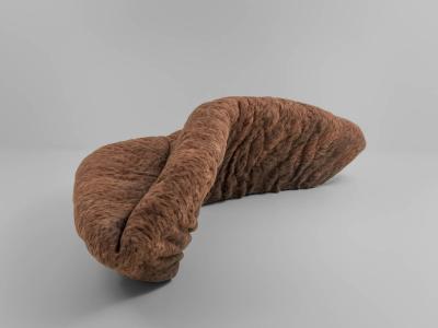 Ayala Serfaty ANU 2022