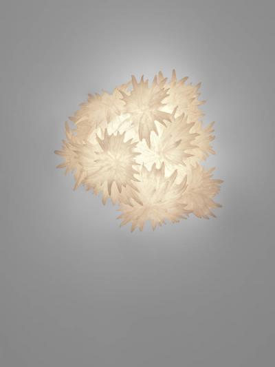 Ayala Serfaty TARA III 2022