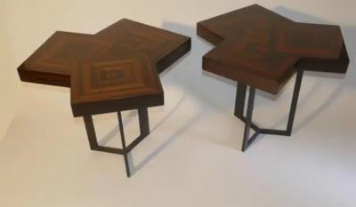 Aymeric Lefort Pair of Coffee Or End Table Cubes in Macassar Ebony Marquetery by A Lefort