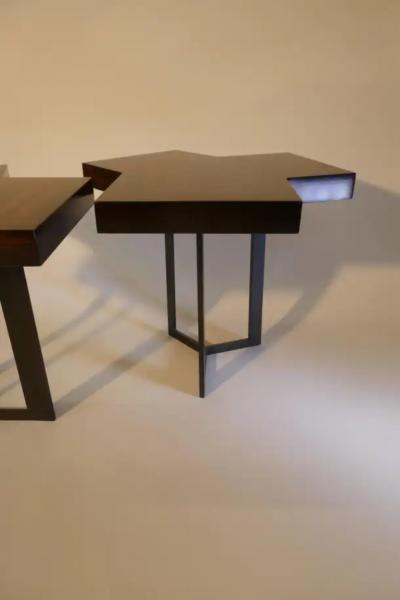 Aymeric Lefort Pair of Coffee Or End Table Cubes in Macassar Ebony Marquetery by A Lefort