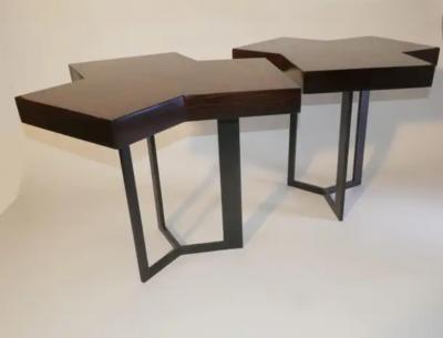 Aymeric Lefort Pair of Coffee Or End Table Cubes in Macassar Ebony Marquetery by A Lefort