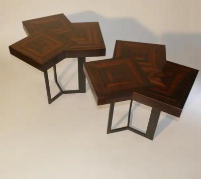 Aymeric Lefort Pair of Coffee Or End Table Cubes in Macassar Ebony Marquetery by A Lefort