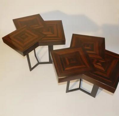 Aymeric Lefort Pair of Coffee Or End Table Cubes in Macassar Ebony Marquetery by A Lefort