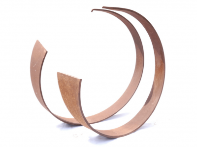 Azza Al Qubaisi Falcon and Houbara 1