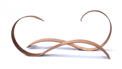 Azza Al Qubaisi Falcon and Houbara 3