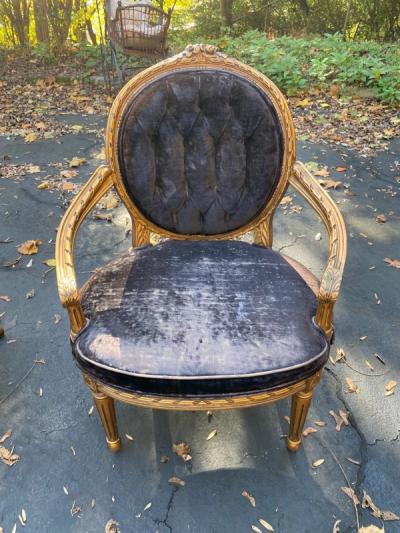 BEAUTIFUL GILT WOOD LOUIS XVI CARVED PAIR OF FAUTEUIL CHAIRS