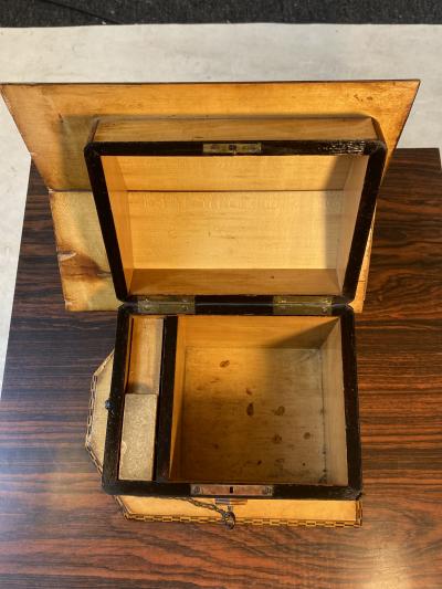 BLACK FOREST DOG HOUSE HUMIDOR