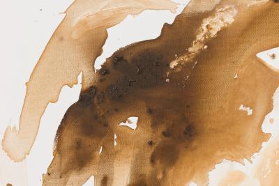 Barbara Kiskovski Abstract Acrylic Brown Wash Painting on Canvas