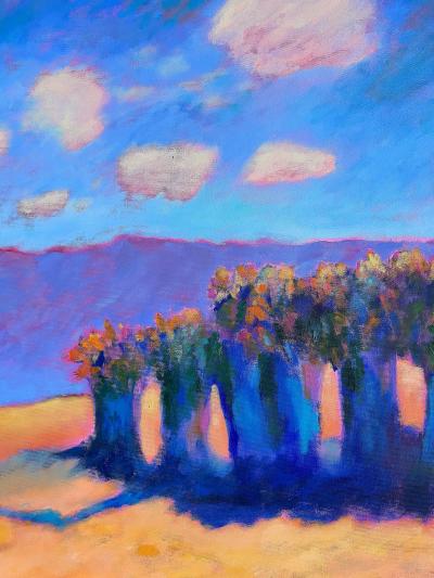 Barbara Sowle Santa Barbara CA Landscape Painting on Canvas