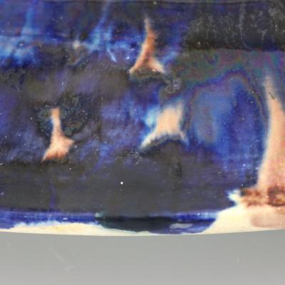 Barbizet French Palissy Majolica Platter with Fish