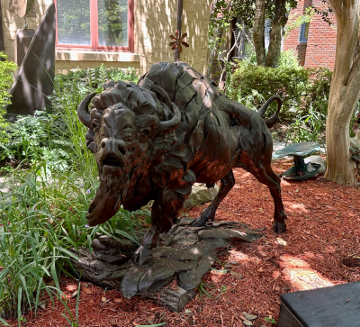 Bart Walter Bison 2022