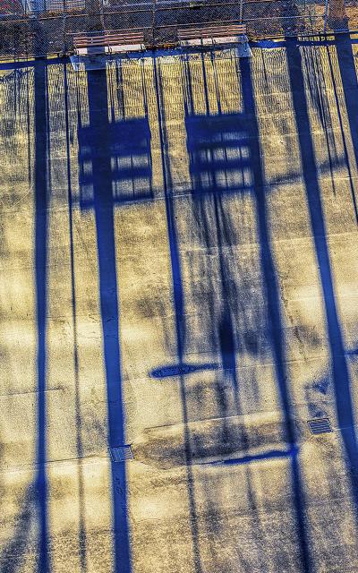 Basketball Player Early Morning Light