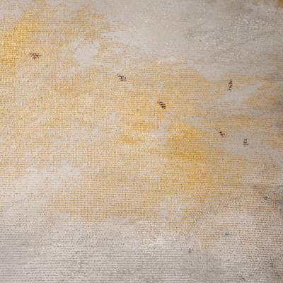 Beatrice Pontacq GREY CLOUD ON GOLD HORIZON