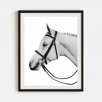 Beau Simmons Royalty