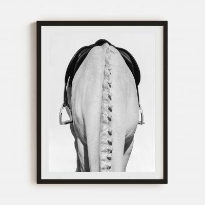 Beau Simmons Showtime