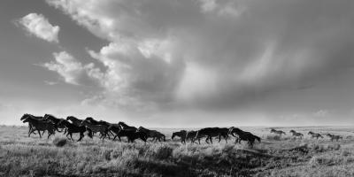 Beau Simmons The Sound Of Thunder