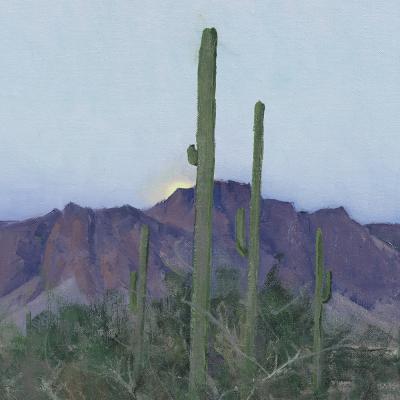 Ben Bauer An Arizona Magic Moment