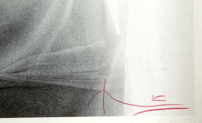 Bert Stern Marilyn Monroe