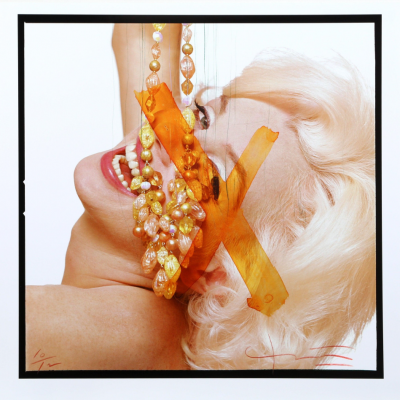 Bert Stern Marilyn Monroe The Last Sitting Portfolio 4