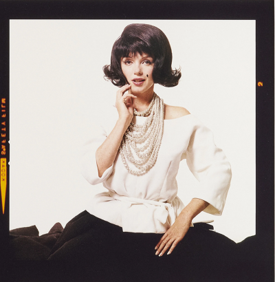 Bert Stern The Last Sitting