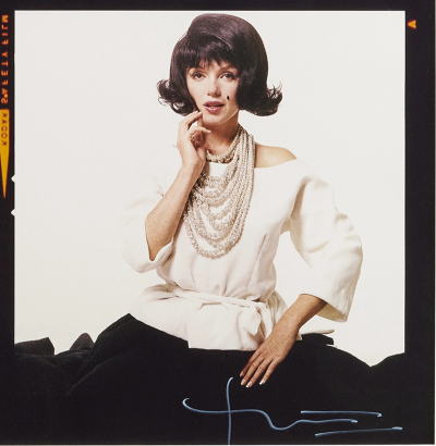 Bert Stern The Last Sitting