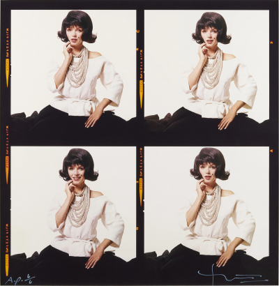 Bert Stern The Last Sitting