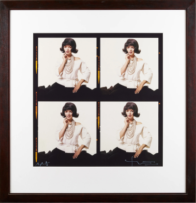 Bert Stern The Last Sitting