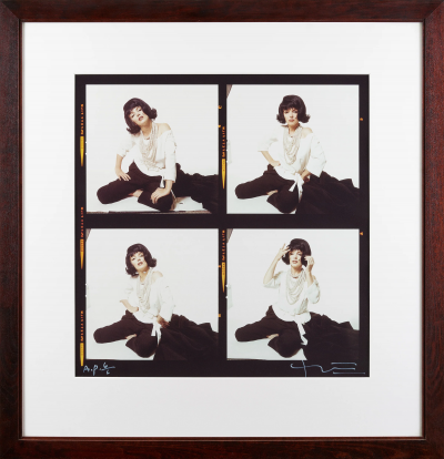 Bert Stern The Last Sitting