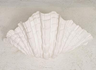 Bespoke Pair of Coquillage Plaster Sconces