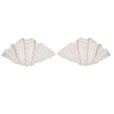 Bespoke Pair of Coquillage Plaster Sconces