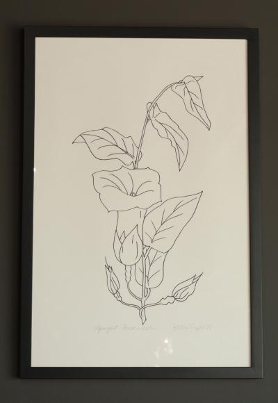 Betsy Tryon Betsy Tryon Framed Botanical dtd 1978 Sold individually 