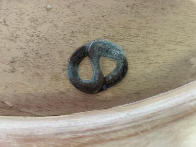 Betty Cobonpue Fabulous Coastal Modern Pair Betty Cobonpue Barrel Back Wicker Lounge Chairs