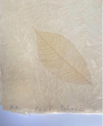 Betye Saar Passe Blanc African American Female Artist