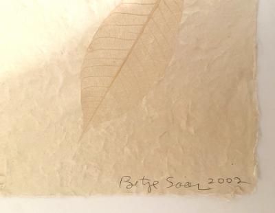 Betye Saar Passe Blanc African American Female Artist