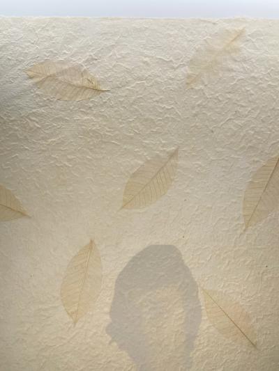 Betye Saar Passe Blanc African American Female Artist