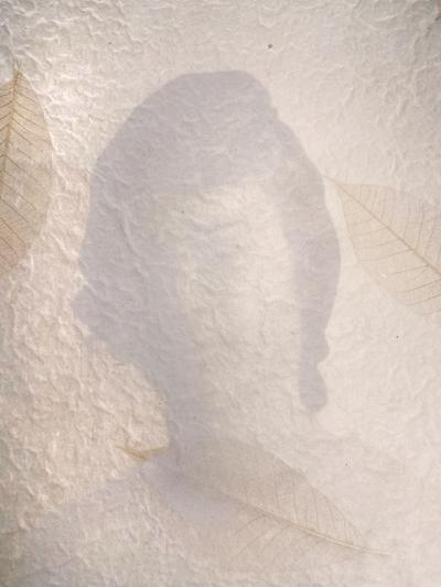 Betye Saar Passe Blanc African American Female Artist