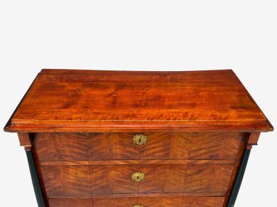 Biedermier Cherry Wood Bronze Ebonized Wood Cabinet Germany 19th c 