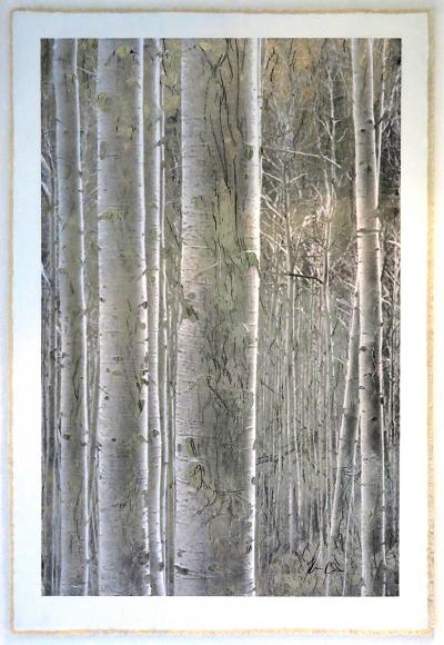 Bill Claps Aspen Stand Positive