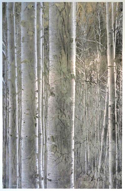 Bill Claps Aspen Stand Positive