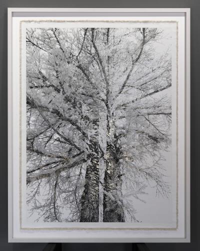 Bill Claps Brothers of Val Fex