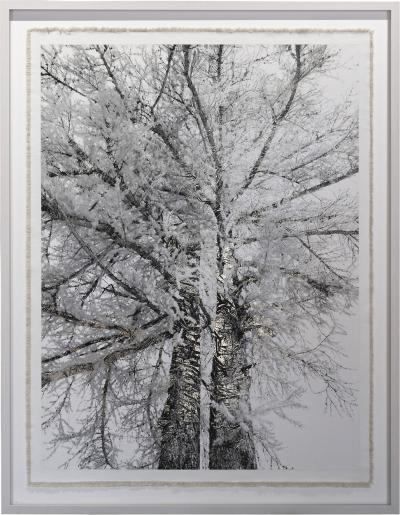 Bill Claps Brothers of Val Fex