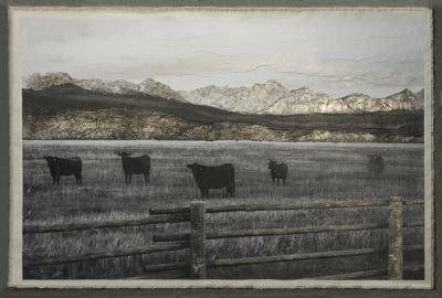 Bill Claps Cattle in the Sawtooth Valley